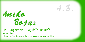 aniko bojas business card